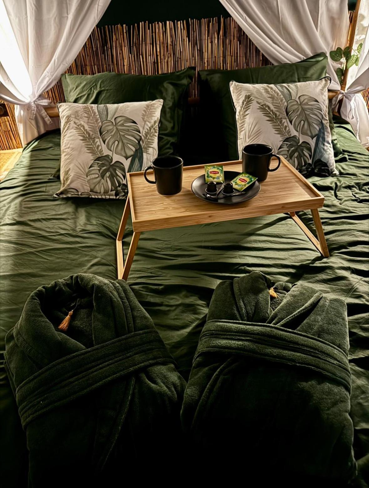 Jungle Love Room Toulouse Extérieur photo